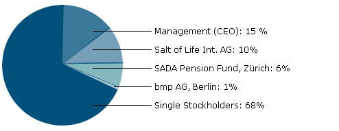 Tortengrafig zur Aktion�rsstruktur